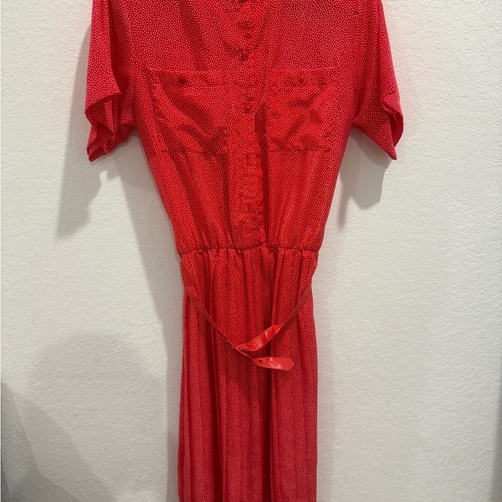 Liz Robert’s Vintage Tiny Polka Dot Red Button-Up Dress